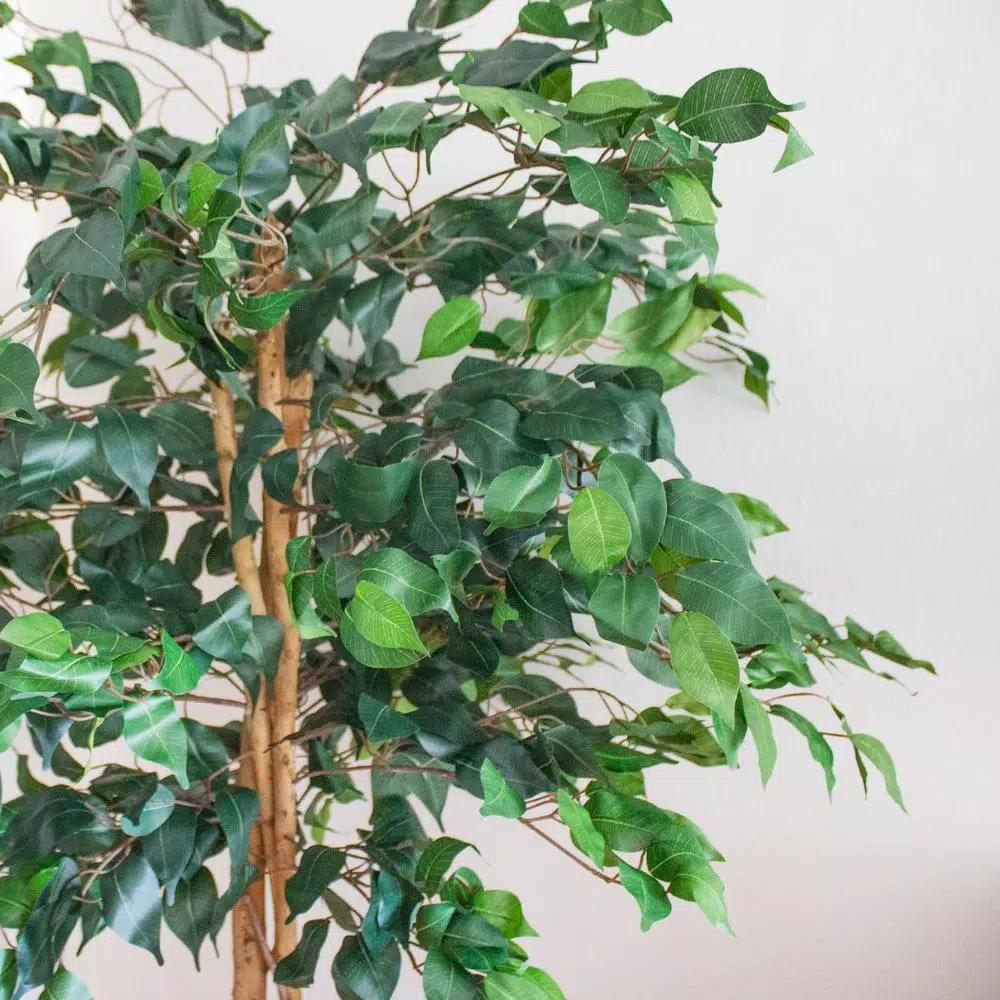 Nearly Natural 5 ft. Artificial Ficus Tree with Real Wood Trunks