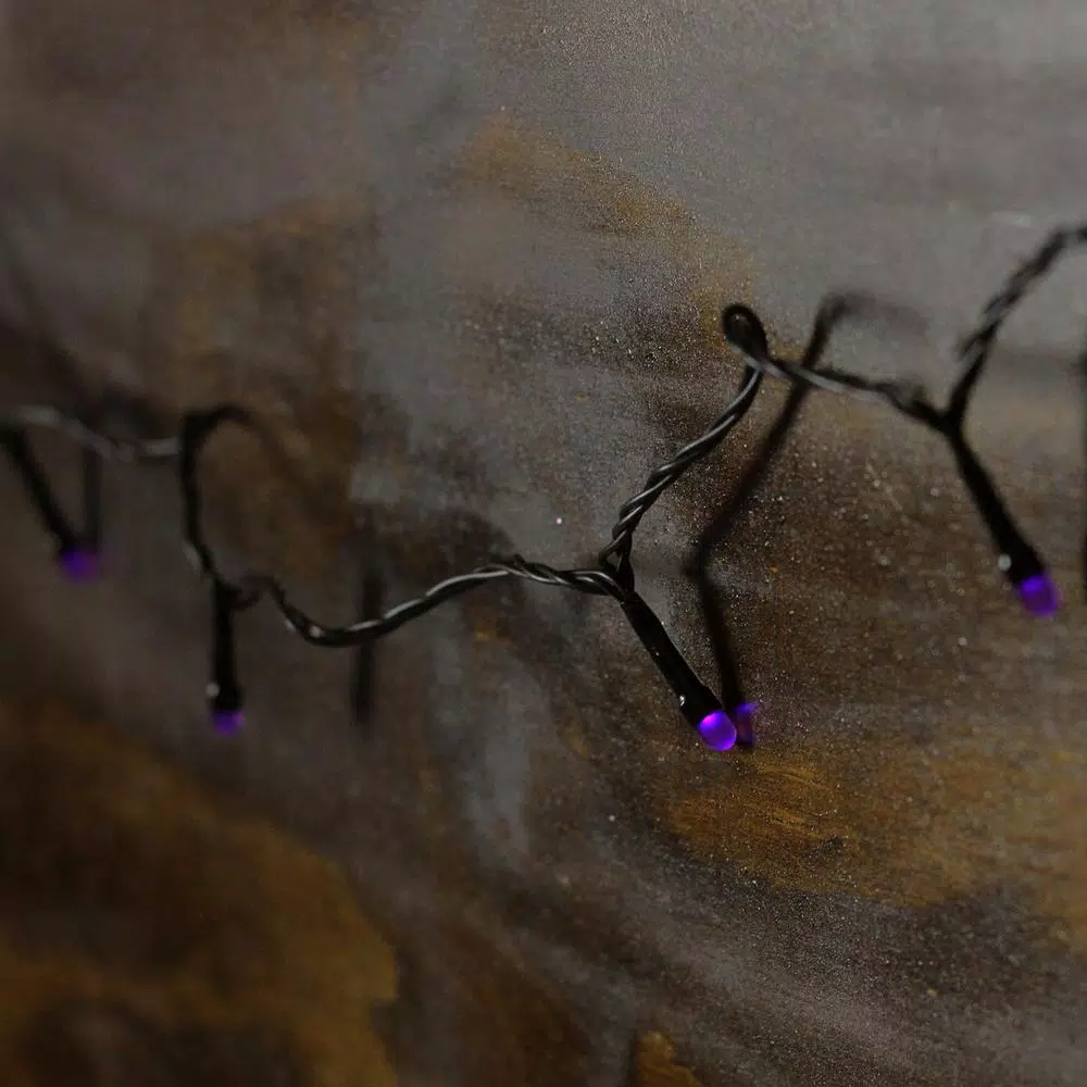 Northlight 5 in. LED Purple Micro Halloween String Lights, 15-Set, Battery Operated