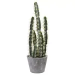 Nearly Natural Decorative Tall Cactus Collection with Modern Cement Planter and White River Rocks thumbnail 1