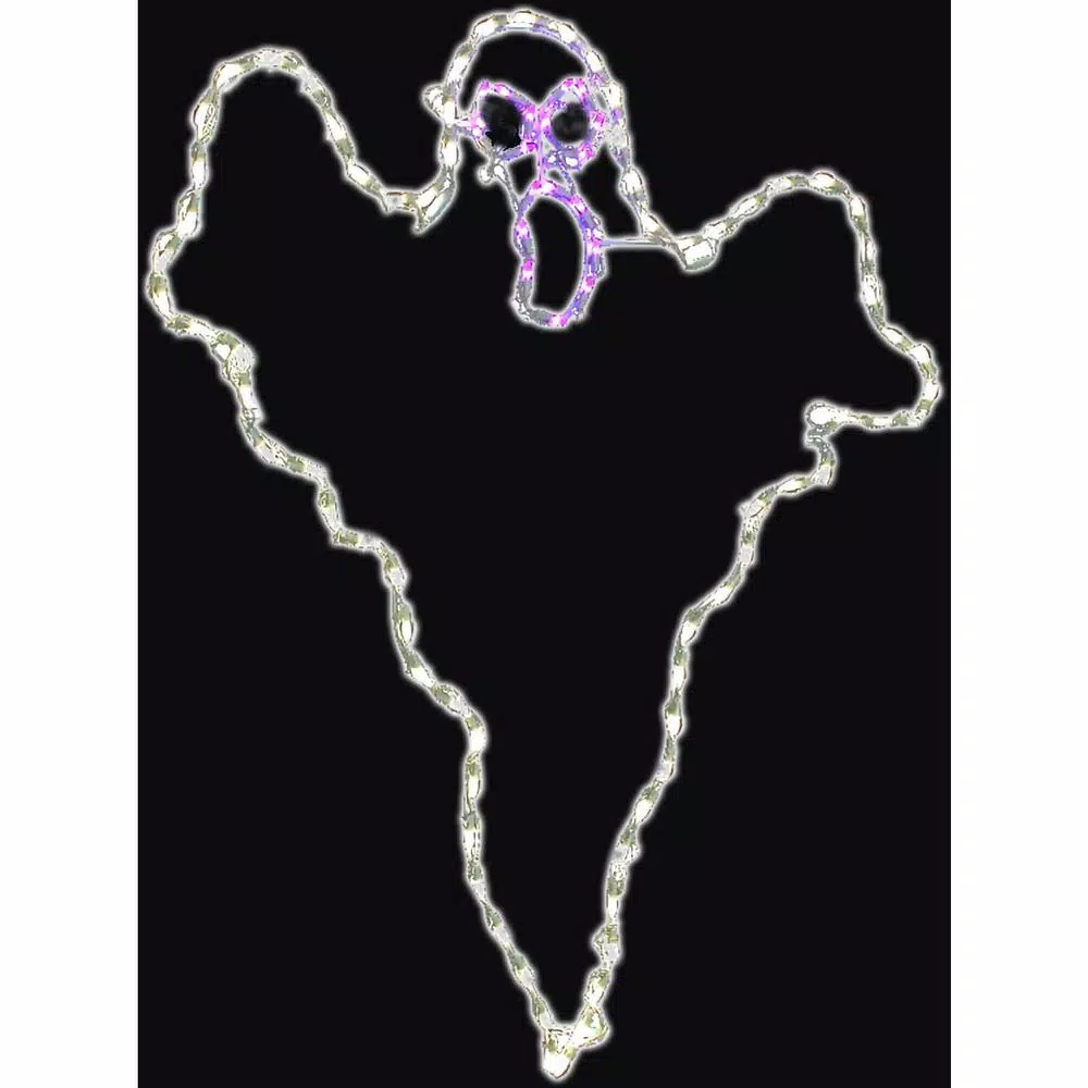 Haunted Hill Farm 48 in. x 40 in. Scary Ghost LED Halloween Indoor/Outdoor Light