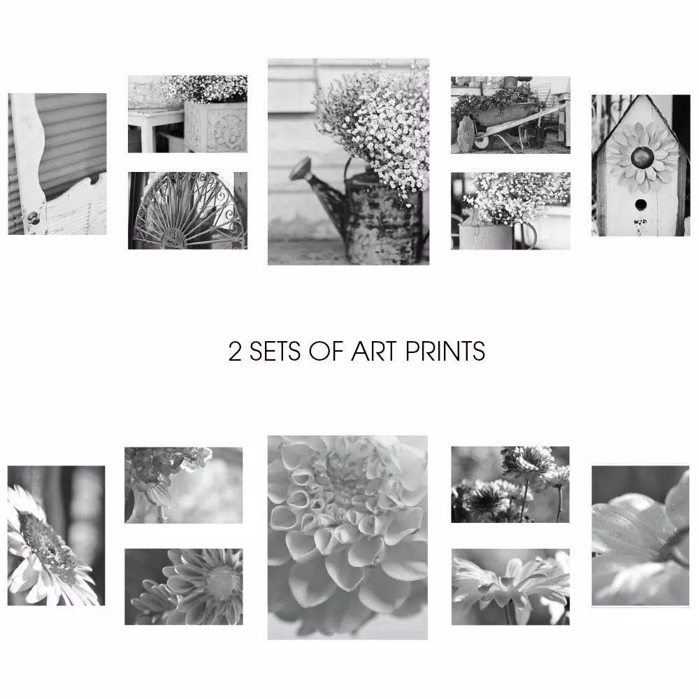 Pinnacle Gallery 7-Piece Graywash Wood Photo Frame Wall Gallery Kit with Art Prints