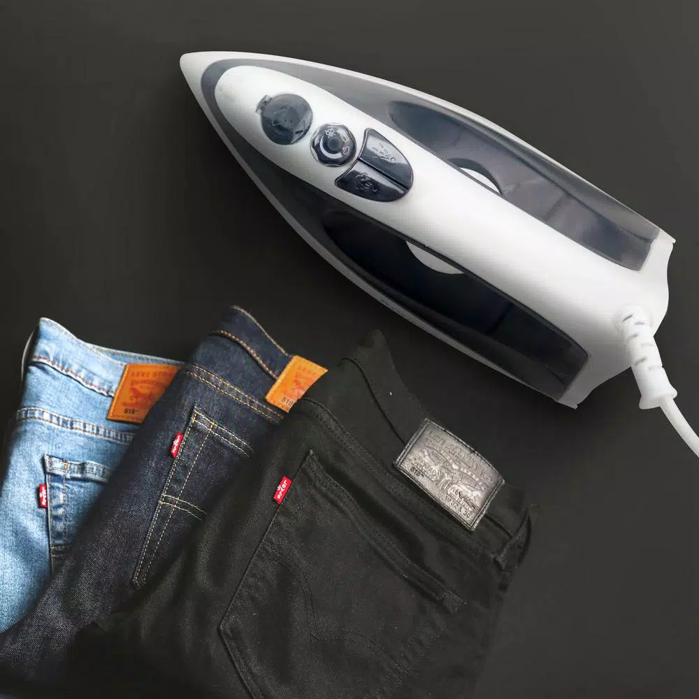 Impress Compact Steam and Dry Iron with Stainless Steel Soleplate, Gray