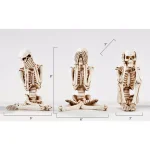Worth Imports See No Hear No Speak No Evil Skeleton Figurine Set of 3 - Ceramic Tabletop Decor thumbnail 2