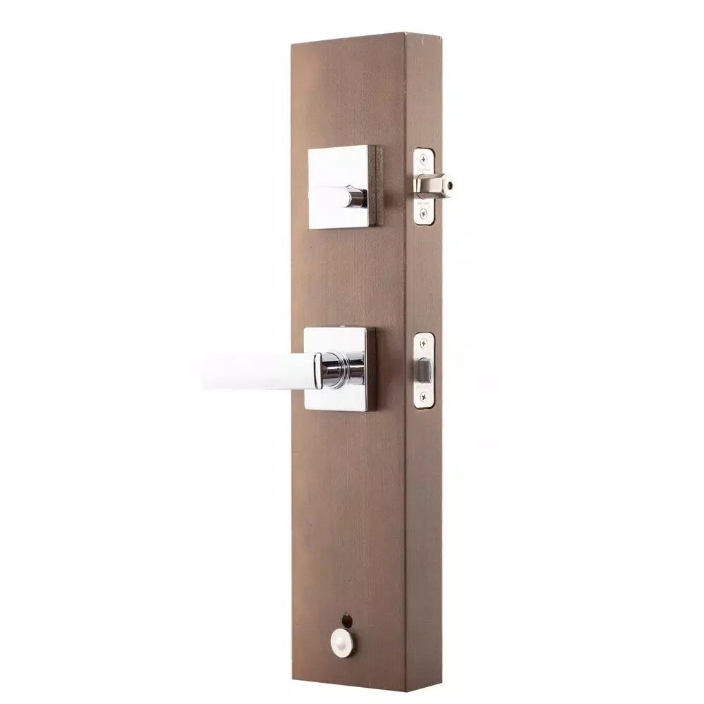 Copper Creek Craftsman Polished Stainless Steel Front Door Handleset with Remi Lever Trim