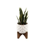 Flora Bunda 12.5 in. Faux Snake Plant in White Dimple Pattern Ceramic Pot with Wood Stand thumbnail 1