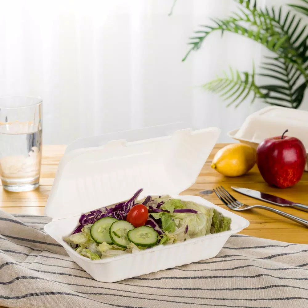 Unbranded 9 in. White Sugarcane Clamshell Containers, Biodegradable & Compostable (300 Pack)