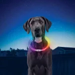 Nite Ize NiteHowl LED Rechargeable Safety Necklace, Disc-O Select Multi-Color Dog Collar thumbnail 8