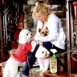 Simple Green Bio Dog Pet Stain and Odor Remover, 32 oz (12-Case Pack) thumbnail 3