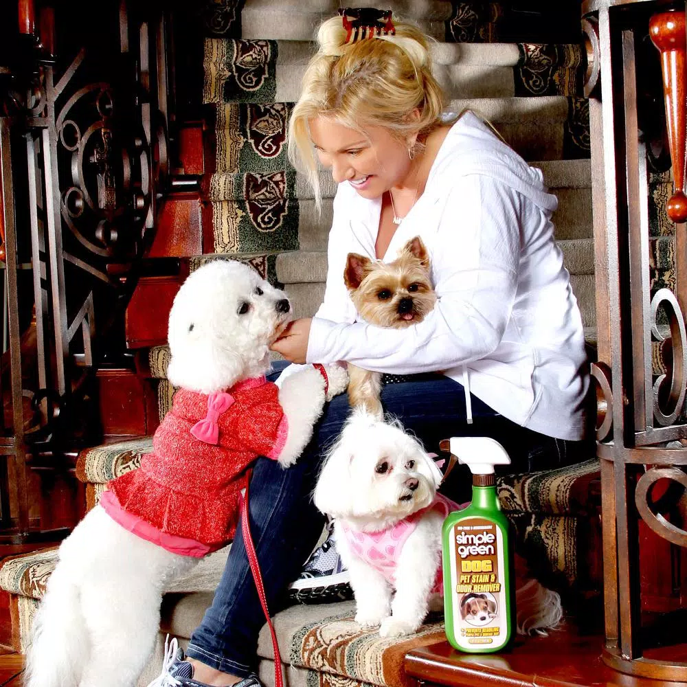 Simple Green Bio Dog Pet Stain and Odor Remover, 32 oz (12-Case Pack)