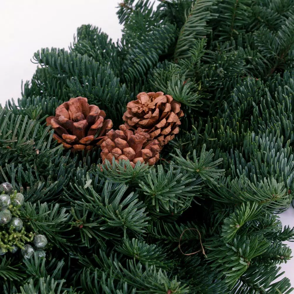 VAN ZYVERDEN 4 ft. Fresh Cut Pacific Northwest Evergreen Garland with Noble Fir, Juniper, and Cedar
