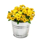 Behrens 2 Qt. Hot Dipped Galvanized Steel Pail, Silver thumbnail 2