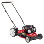 Troy-Bilt TB100 21 in. 140cc Briggs & Stratton Gas Push Lawn Mower with TriAction Cutting System thumbnail 1
