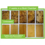 Mold Armor Rapid Clean Remediation Mold and Mildew Remover, Disinfectant & Cleaner, 1 Gallon thumbnail 2