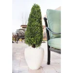 Nearly Natural 41" UV Resistant Artificial Boxwood Topiary in Textured White Planter thumbnail 2