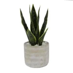 Flora Bunda 12 in. Faux Snake Plant in 4.75 in. Arrow Pattern Cement Planter thumbnail 1