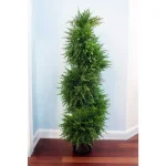 Nearly Natural 43 in. Cedar Spiral Topiary with Lights, Green Artificial Plant in Black Pot thumbnail 5