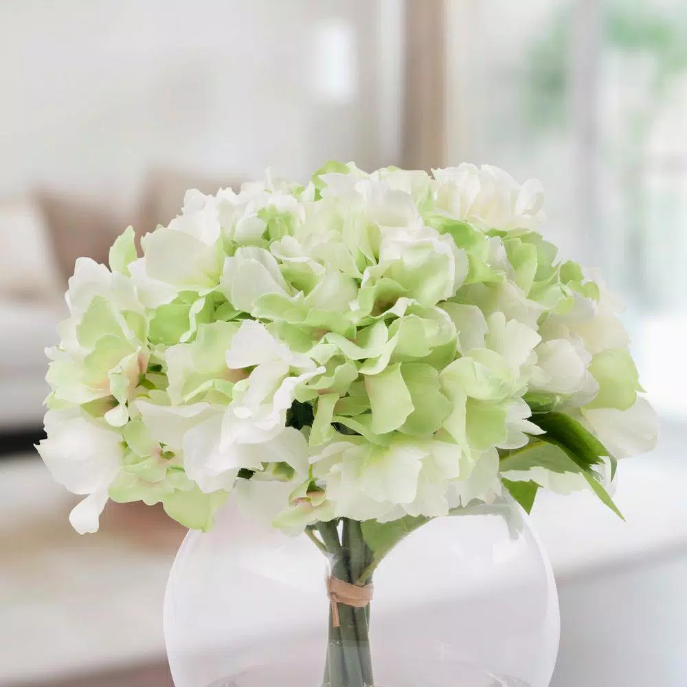 Pure Garden 9 in. Green Hydrangea Floral Arrangement in Glass Vase