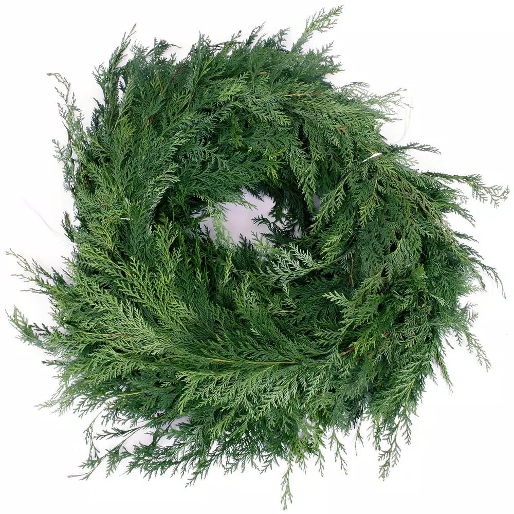 VAN ZYVERDEN 25 ft. Live Fresh Cut Pacific Northwest Western Red Cedar Mix Coil Garland