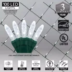 Wintergreen Lighting 48 in. x 72 in. 100-Light M5 LED Cool White Net Light Set thumbnail 3