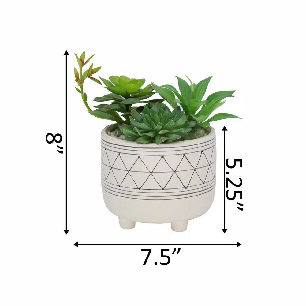 Flora Bunda 6 in. White and Black Geometric Ceramic Footed Planter with Faux Succulent Mix