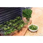 Weston Pro 1000 Stainless Steel 10-Tray Food Dehydrator, 1000W with Horizontal Air Flow thumbnail 5