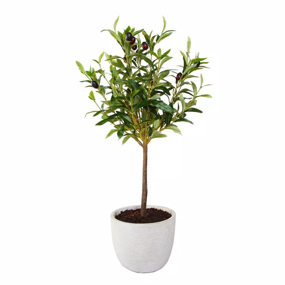 Flora Bunda 28 in. Faux Olive Tree in Gray Cement Pot
