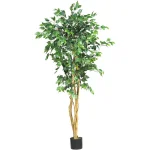 Nearly Natural 5 ft. Artificial Ficus Tree with Real Wood Trunks thumbnail 1