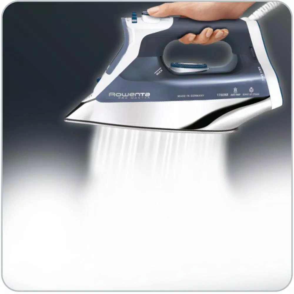 Rowenta Professional Steam Iron with Microsteam Stainless Steel Soleplate