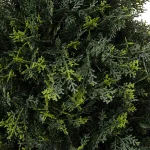 Pure Garden 37 in. Artificial Cypress Tower Style Topiary with Pot thumbnail 3