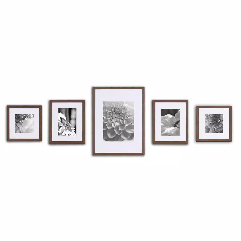 Pinnacle Gallery Solutions 5-Piece Walnut Wood Picture Frame Wall Kit