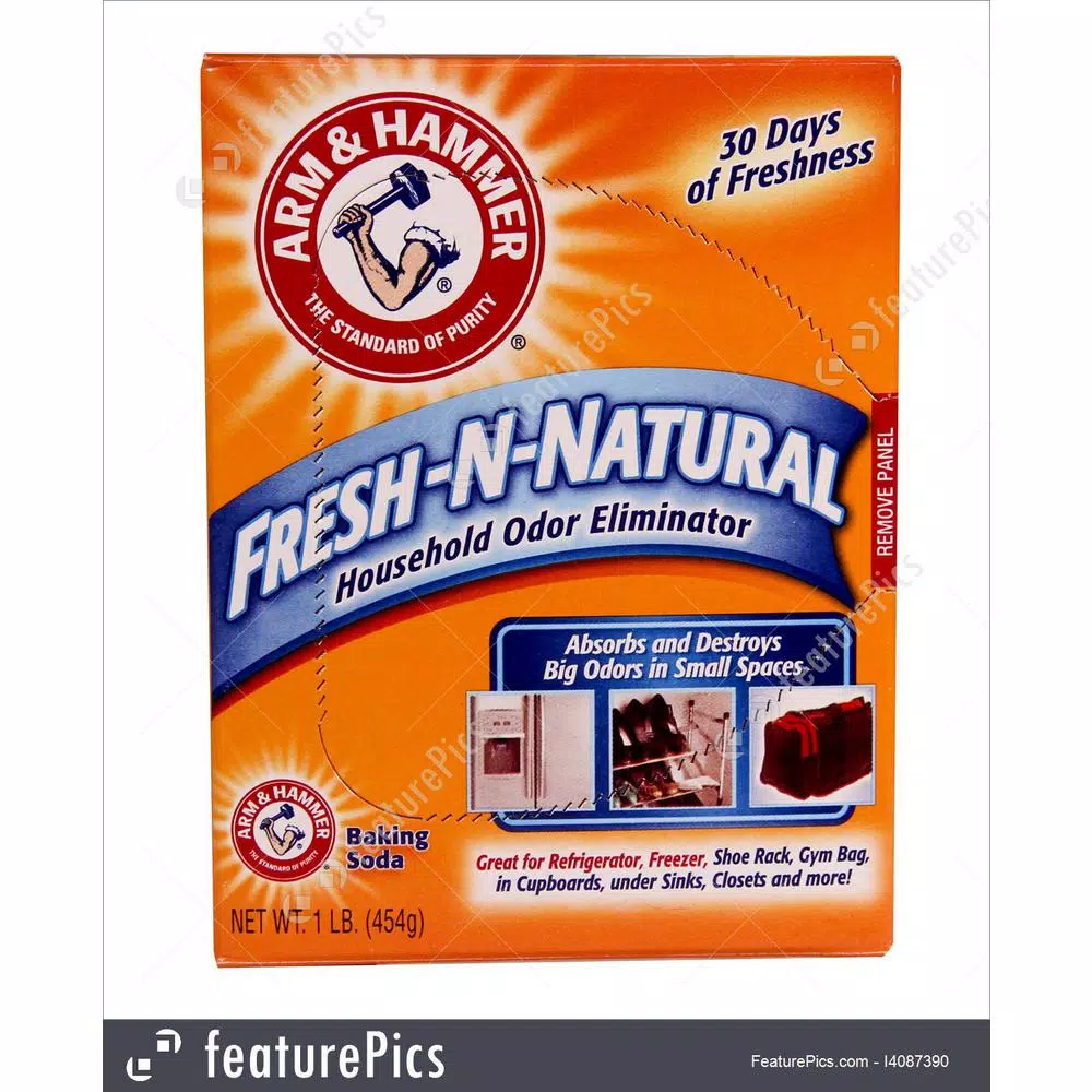 Arm & Hammer Pure Baking Soda, 16 oz. (12-Pack)