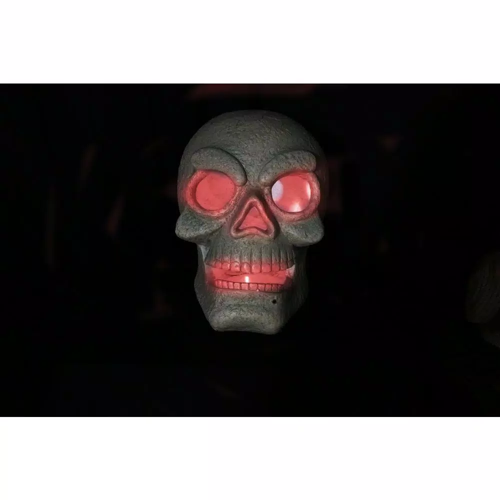 Alpine Corporation Alpine 17 in. Motion Sensor Halloween Skull with Red LED Lights - Battery Operated