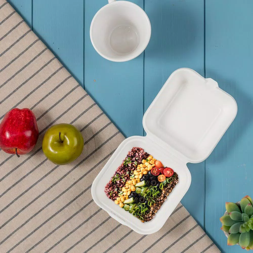 Unbranded 6 in. White Sugarcane Clamshell Containers, Compostable & Eco-Friendly (300 Pack)