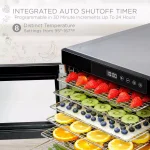 Ivation 10-Tray Stainless Steel Electric Food Dehydrator, 1000W with Digital Timer and Temperature Control thumbnail 6