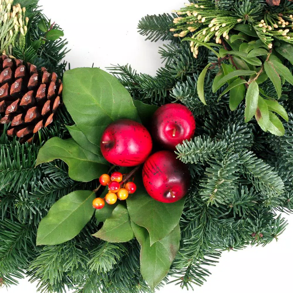 VAN ZYVERDEN 24 in. Live Fresh Cut Pacific Northwest Christmas Wreath with Noble Fir and Incense Cedar