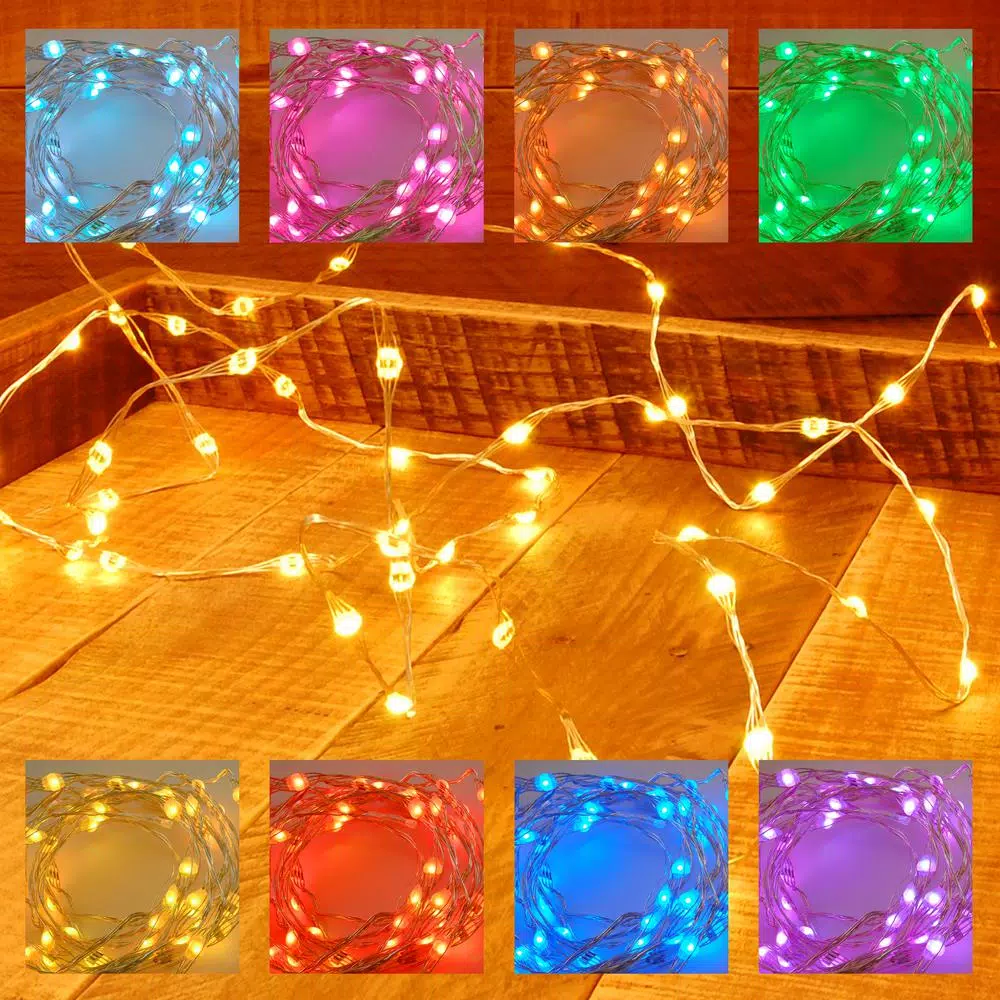 LUMABASE Multi-Color LED Battery Operated Mini String Fairy Lights with Remote Control (2-Pack, 50 Lights Each)