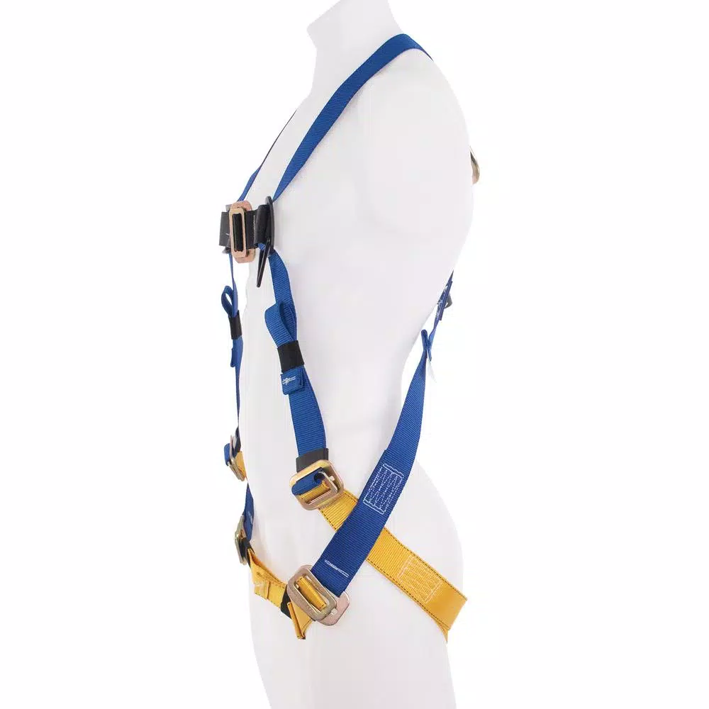 Werner BaseWear Standard Universal Safety Harness, 1 D-Ring, Blue