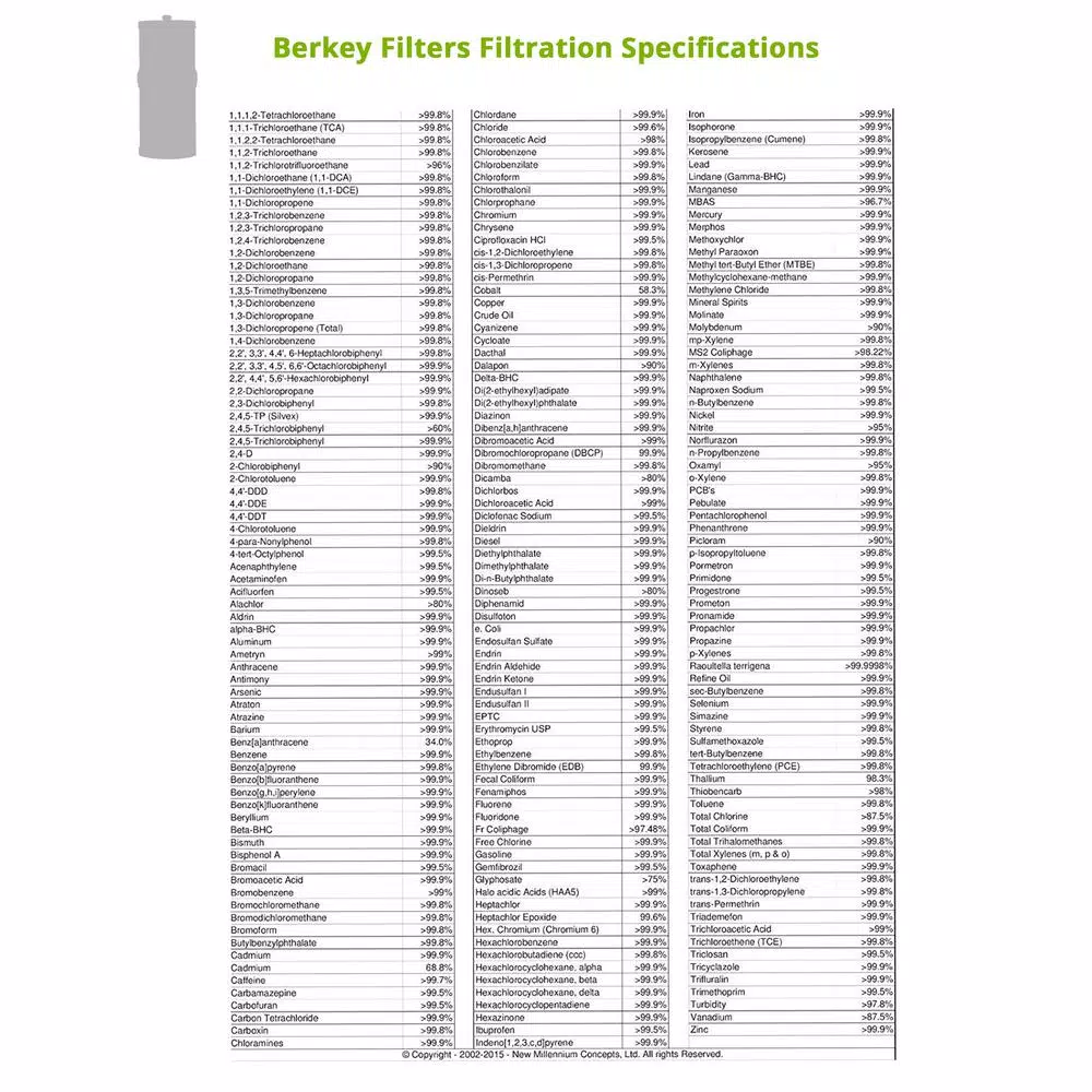 Berkey Black Water Filter Replacement Elements - Set of 2