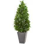 Nearly Natural 57-In. Artificial Bay Leaf Cone Topiary Tree with Slate Planter, Indoor/Outdoor thumbnail 1