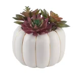 Flora Bunda 8 in. Fall Harvest Artificial Succulent Arrangement in Cream Pumpkin Pot with Gold Accents thumbnail 1
