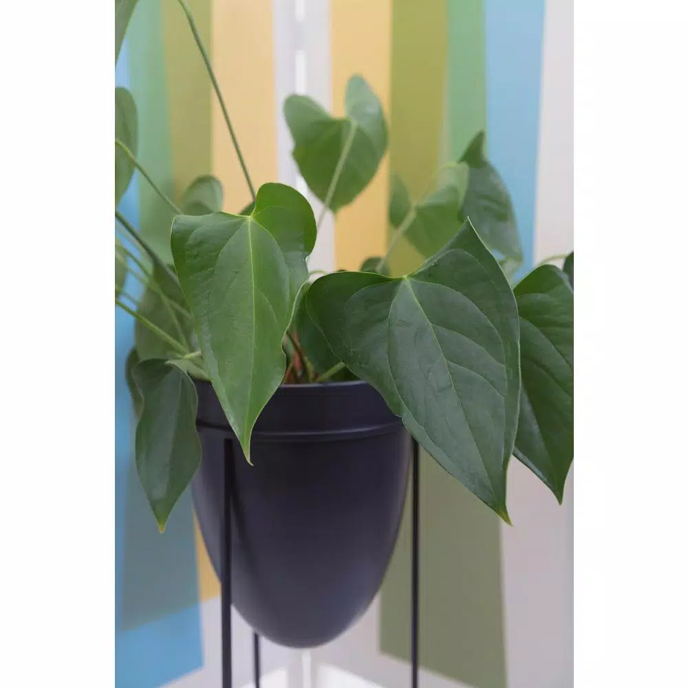 Kiera Grace Kieragrace Nordin Mid-Century Modern Plant Pot with Metal Stand, Black