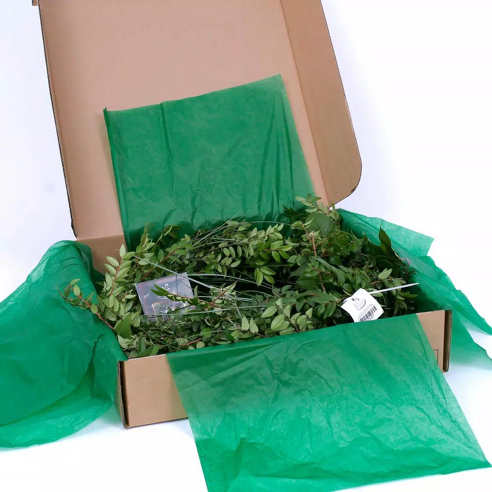 VAN ZYVERDEN 6 ft. Fresh Cut Pacific Northwest Deluxe Evergreen Holiday Garland Mix Coil Runner