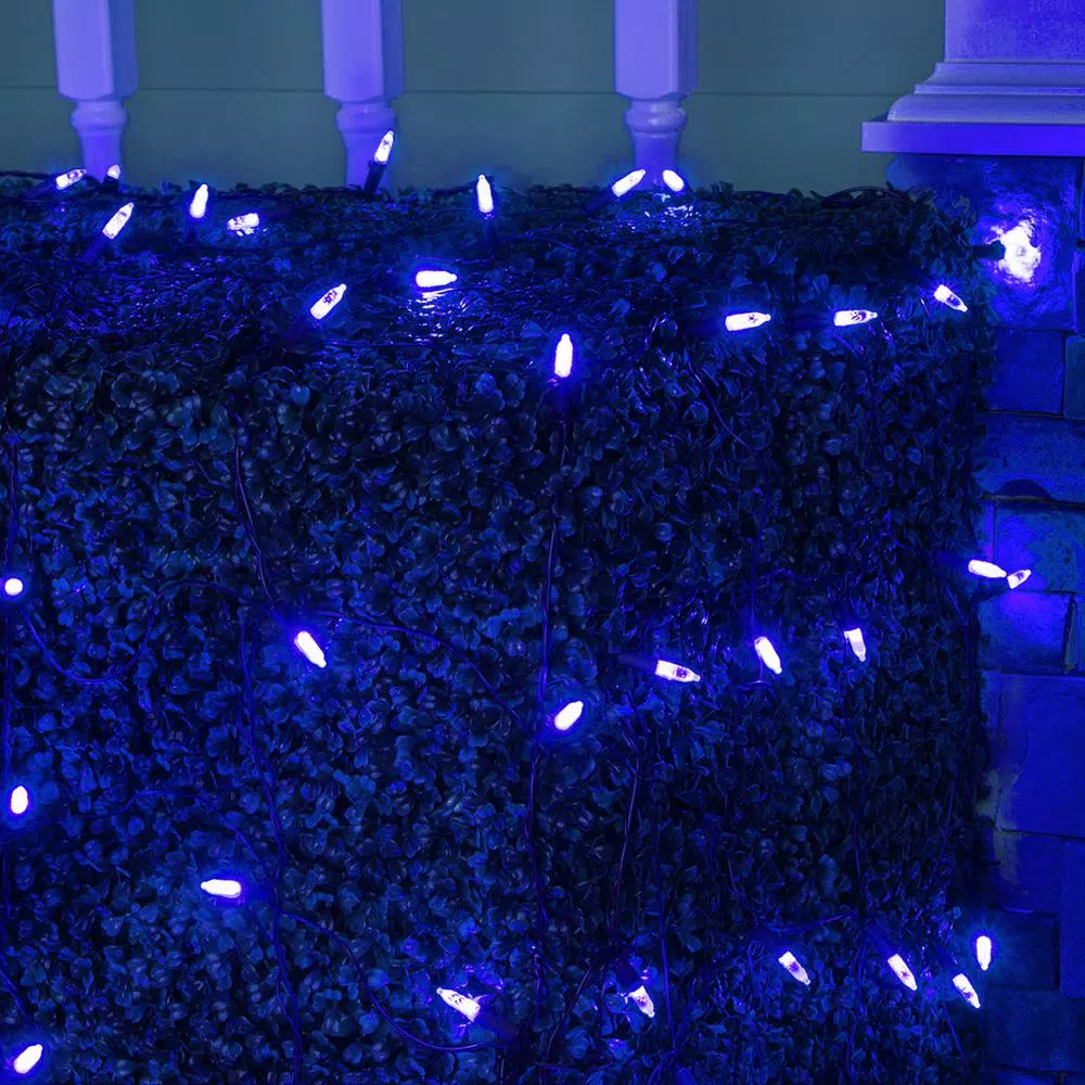 Wintergreen Lighting 48 in. x 72 in. 100-Light M5 Blue LED Net Light Set