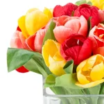 Pure Garden 8 in. Multicolor Tulip Artificial Floral Arrangement in Glass Vase thumbnail 4
