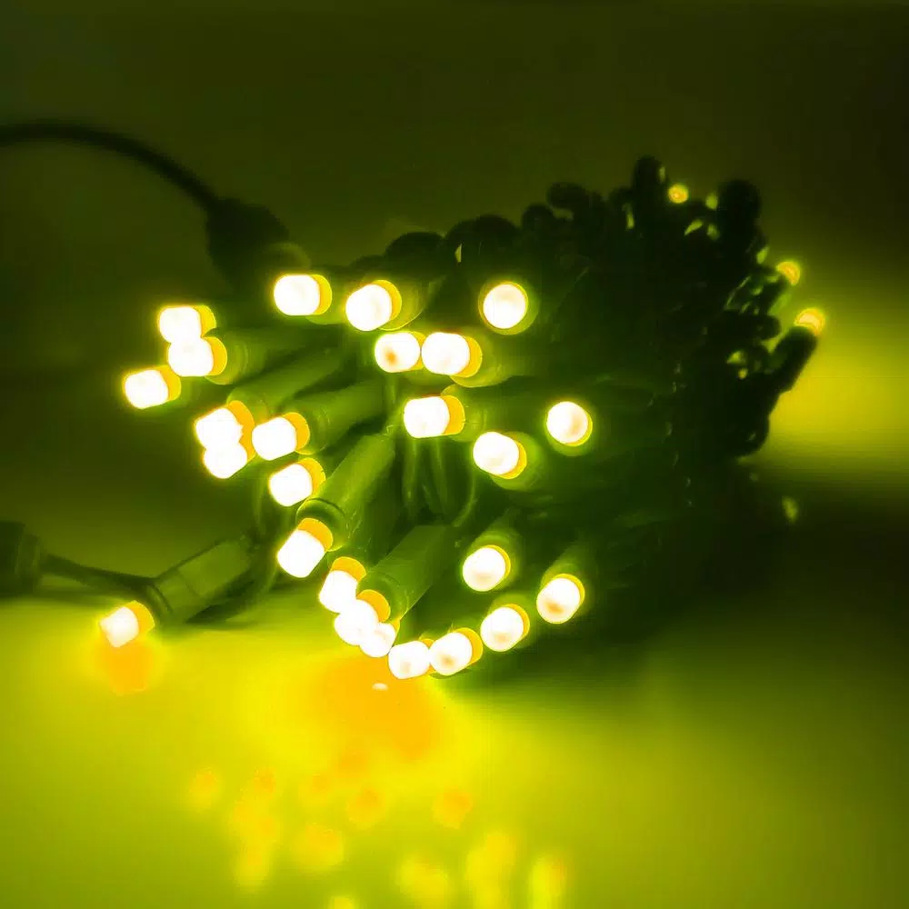 HOLIDYNAMICS HOLIDAY LIGHTING SOLUTIONS 50-Light RGB LED String Lights, 5 mm Frosted Bulbs, 4 in. Spacing, Green Cord