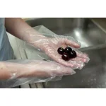 Bison Life KLEEN CHEF Disposable HDPE Food Handling Gloves, Long Cuff, 525 Count thumbnail 4
