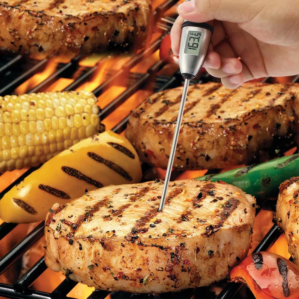 ThermoPro TP02S Digital Instant Read Meat Thermometer for BBQ, Grill, and Kitchen