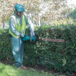 Makita 36V (18V x2) LXT Cordless Hedge Trimmer Kit with (2) 5.0 Ah Batteries and Dual Port Charger thumbnail 5