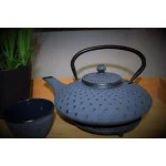 Bredemeijer Blue Xilin Cast Iron Teapot with Stainless Steel Filter, 24 fl. oz. thumbnail 2