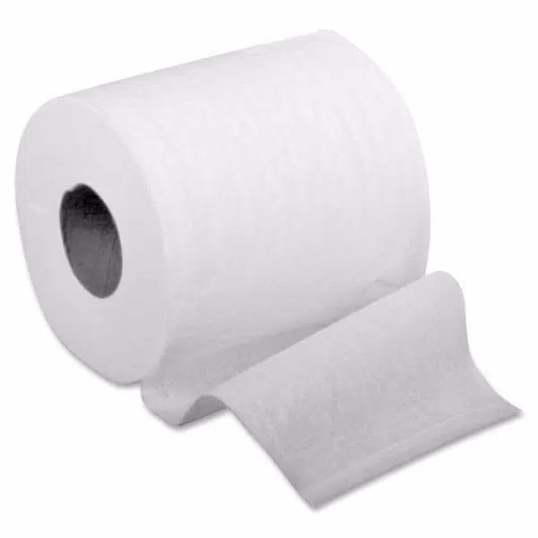Special Buy Embossed 2-Ply Bath Tissue, 500 Sheets per Roll, 96 Rolls per Carton